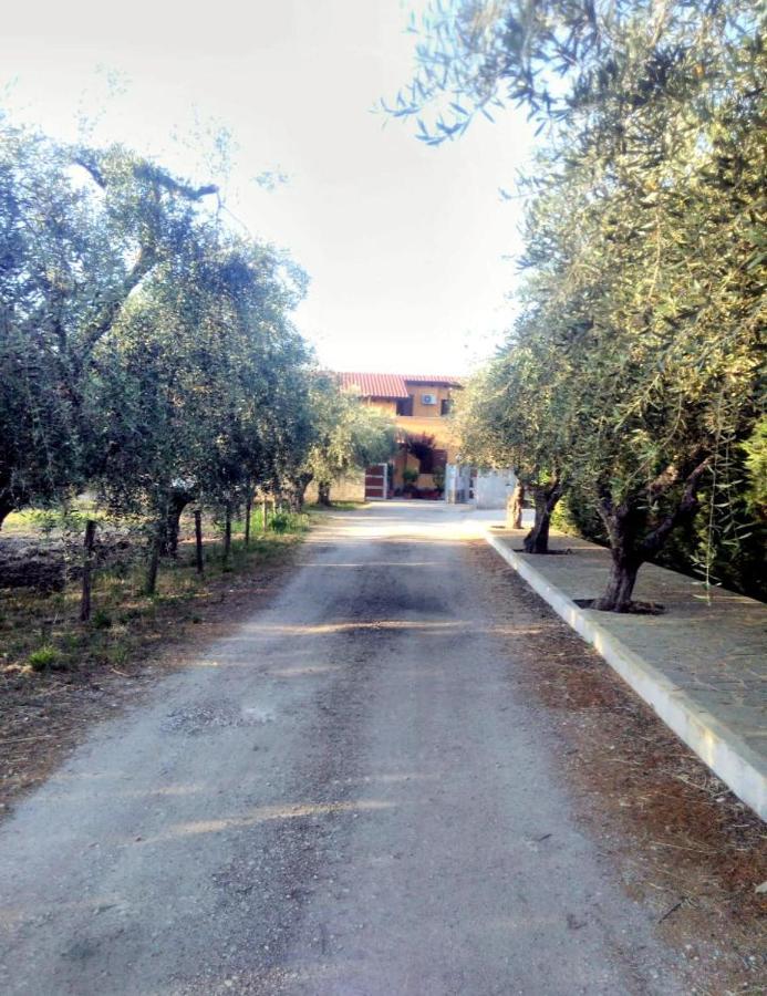 Camera Singola con Bagno Privato