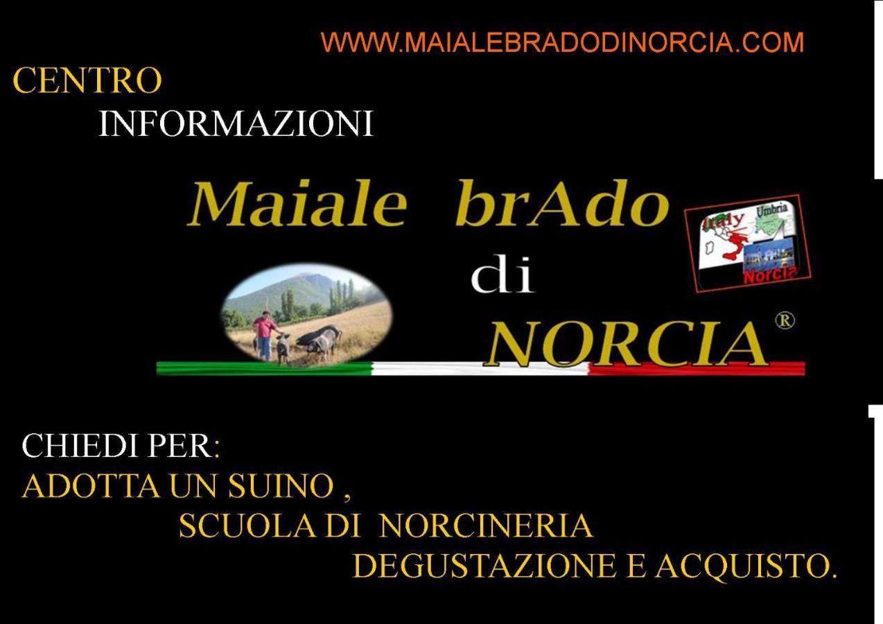Piccola Camera Matrimoniale/Doppia con Letti Singoli