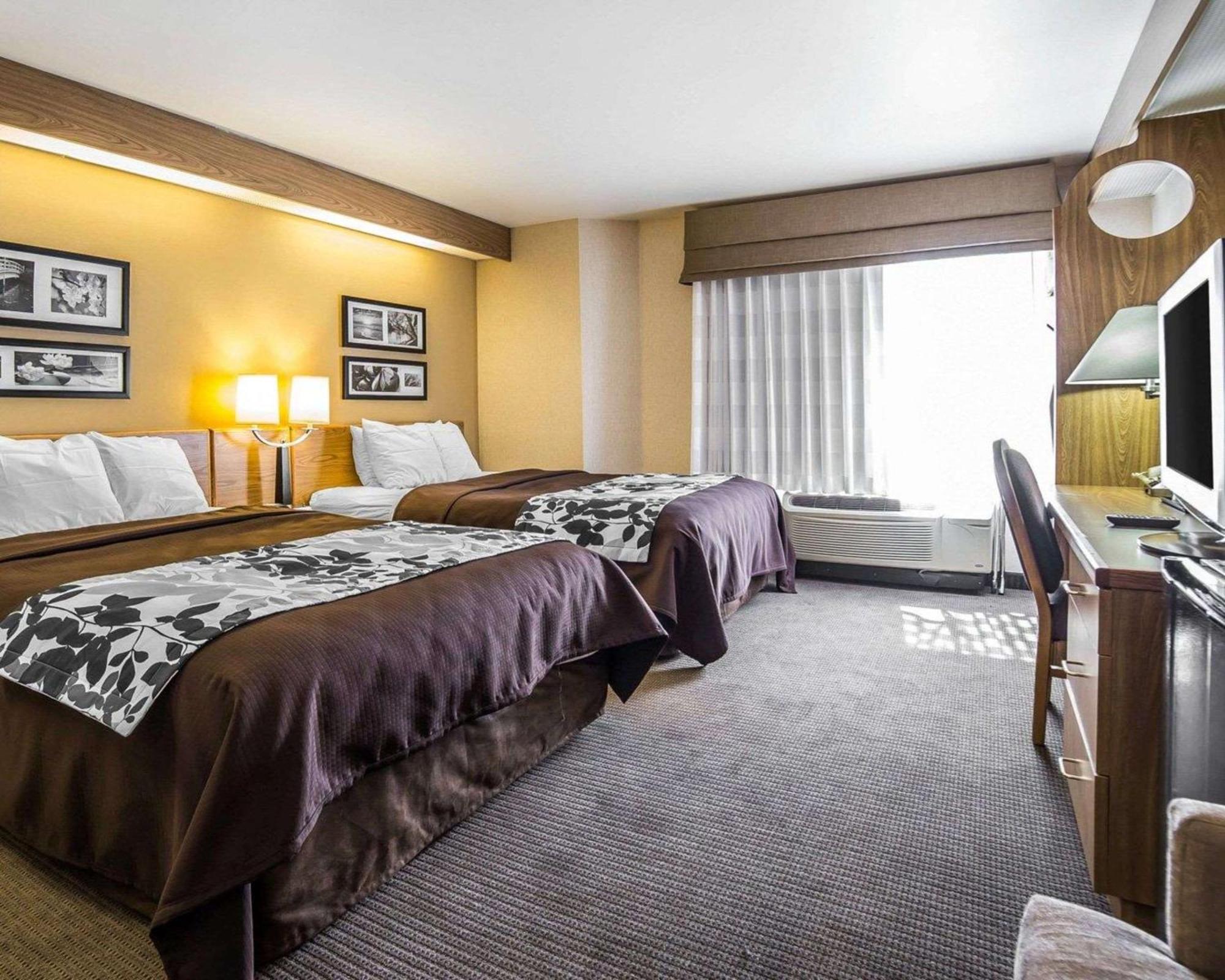 Chambre 2 Lits Queen-Size - Non-Fumeurs