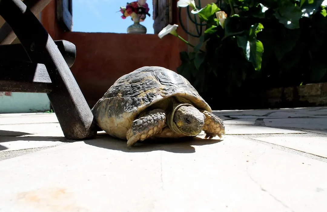 Le Cisterne B&B-1