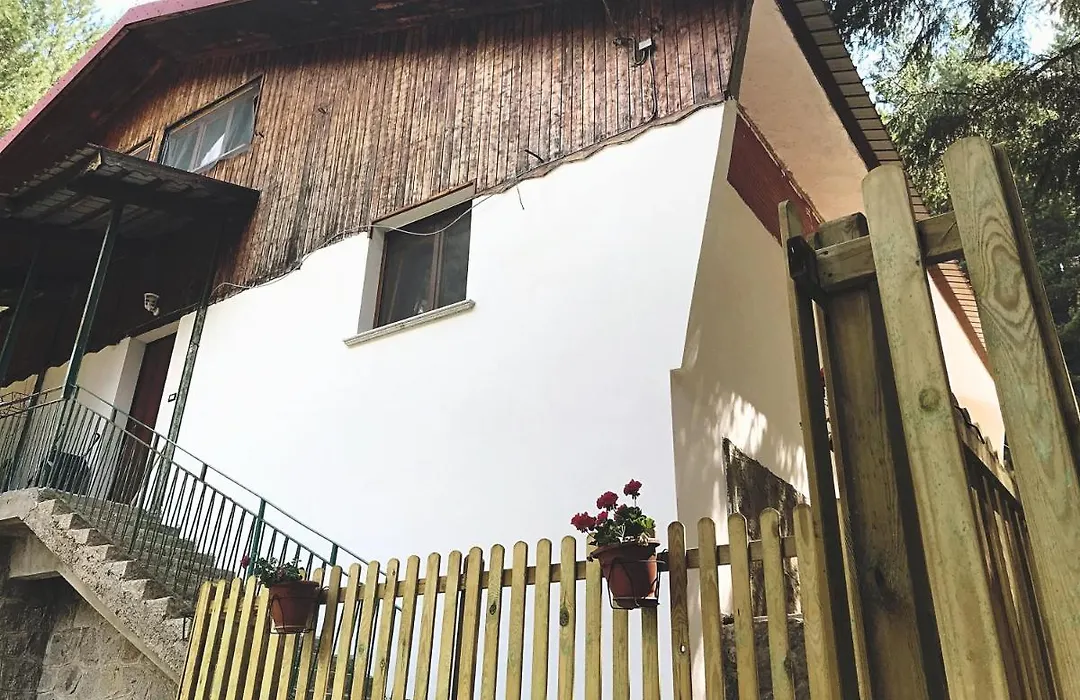 Perla della Sila B&B-1
