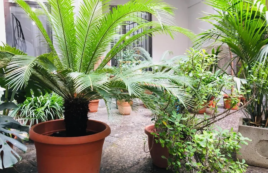 B&B Fiumara-1