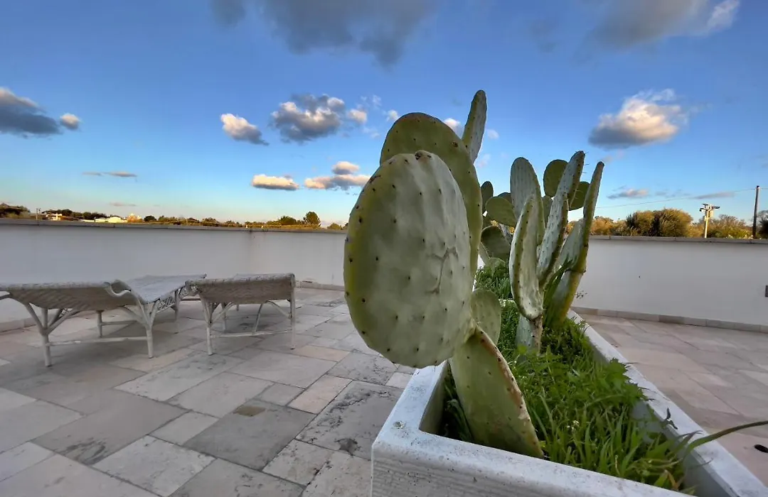 Tenuta Ermes-1