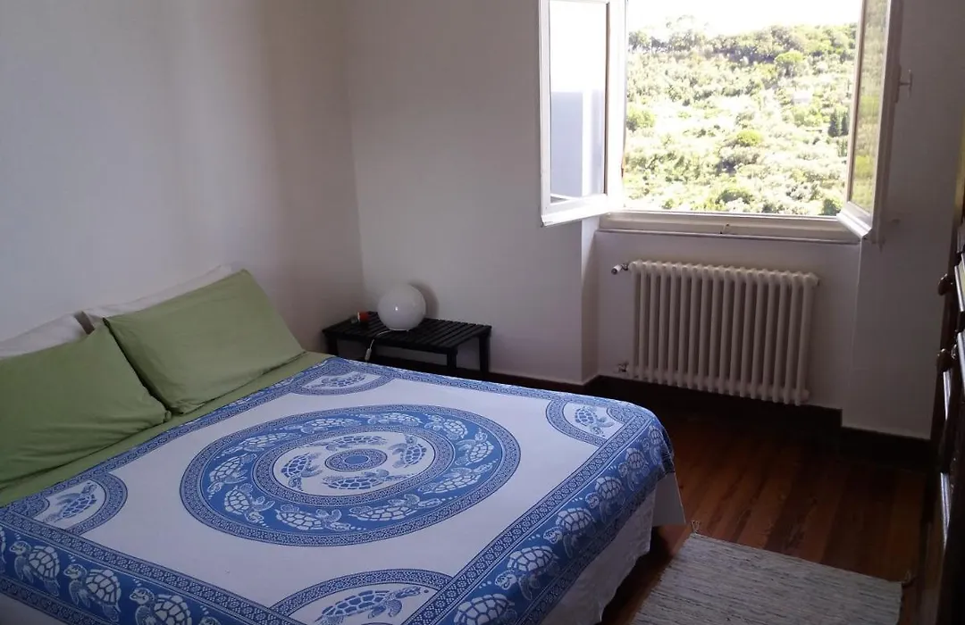 Trekking In Paradise B&B-1
