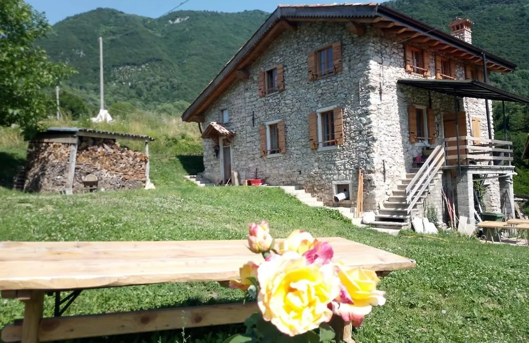 Ca' Del Ri-1