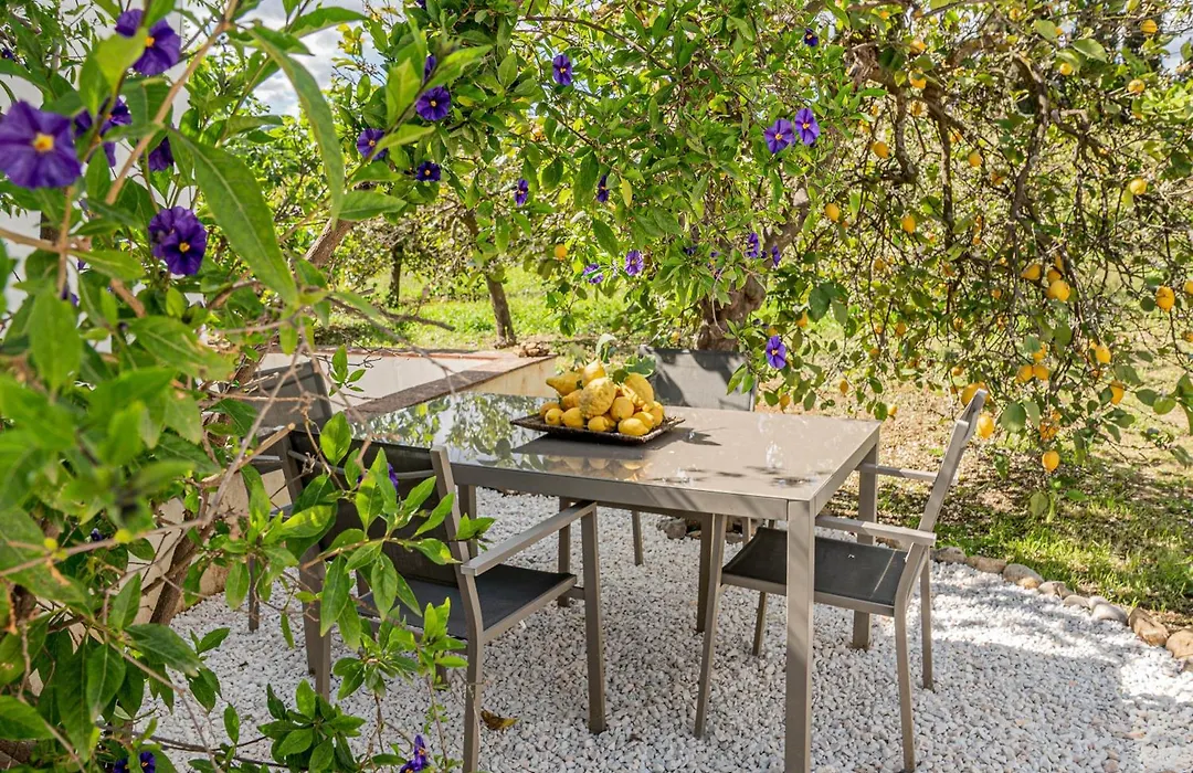 Finca El Limonar-1