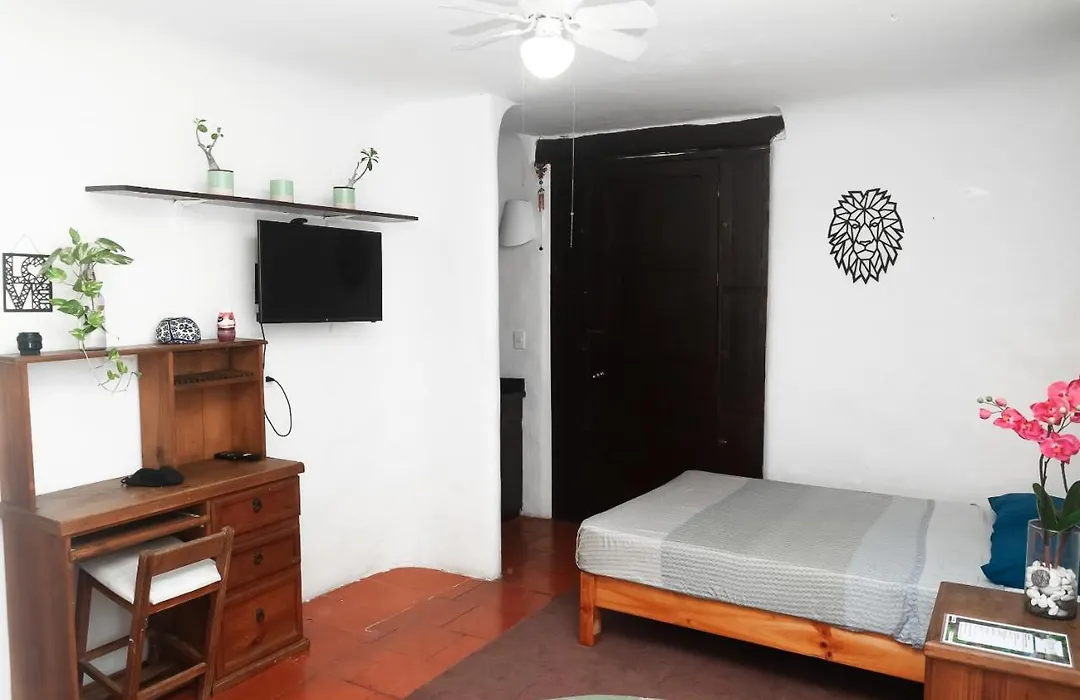 Hippie Villa Cancun-1