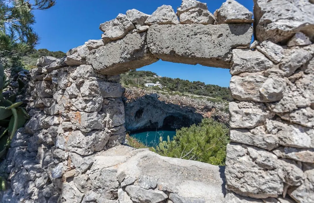Il Posto delle Fragole-1