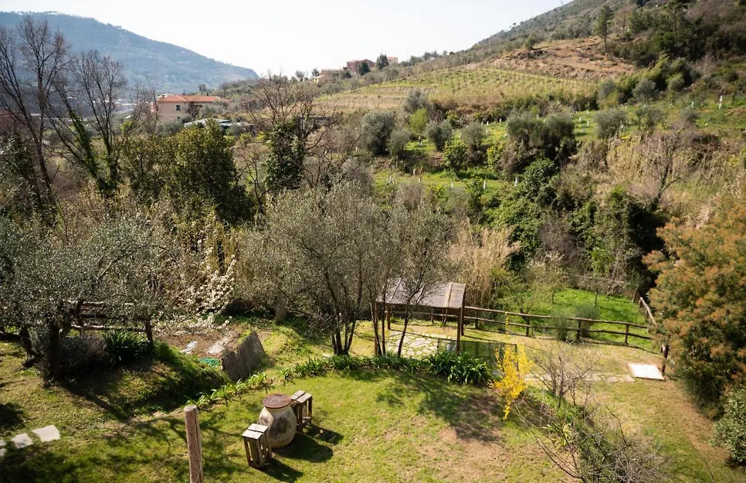 Amandolevanto B&B-1