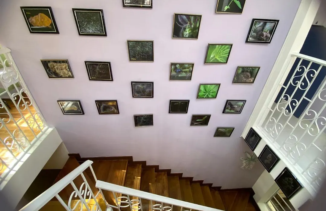 Casa Maria-1