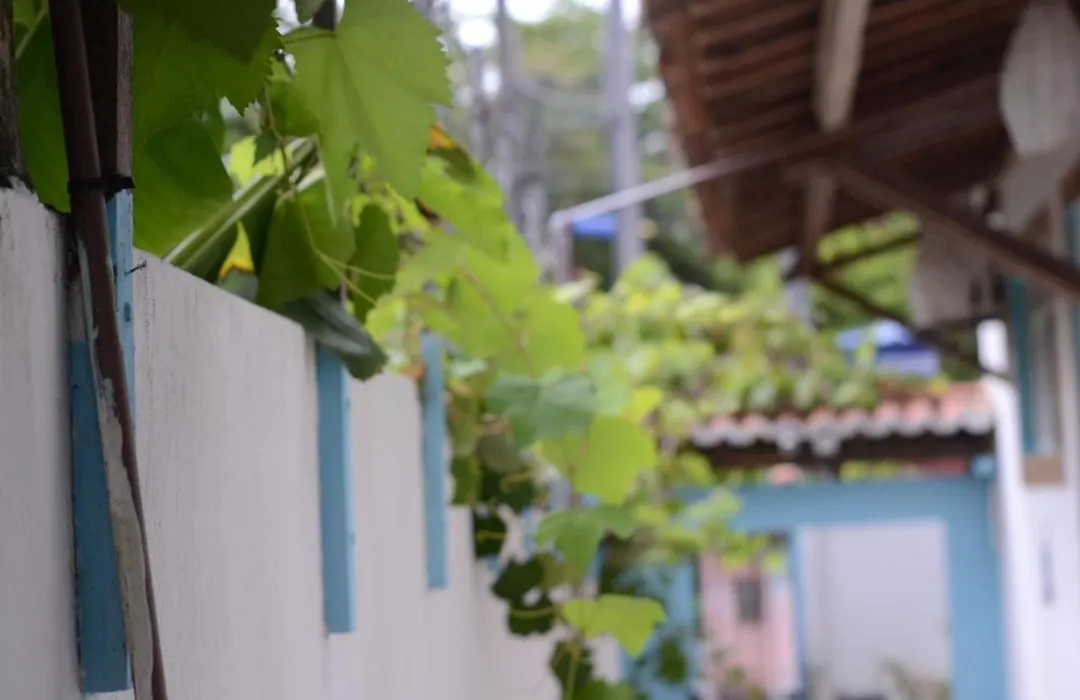 Casa Vida Doce-1