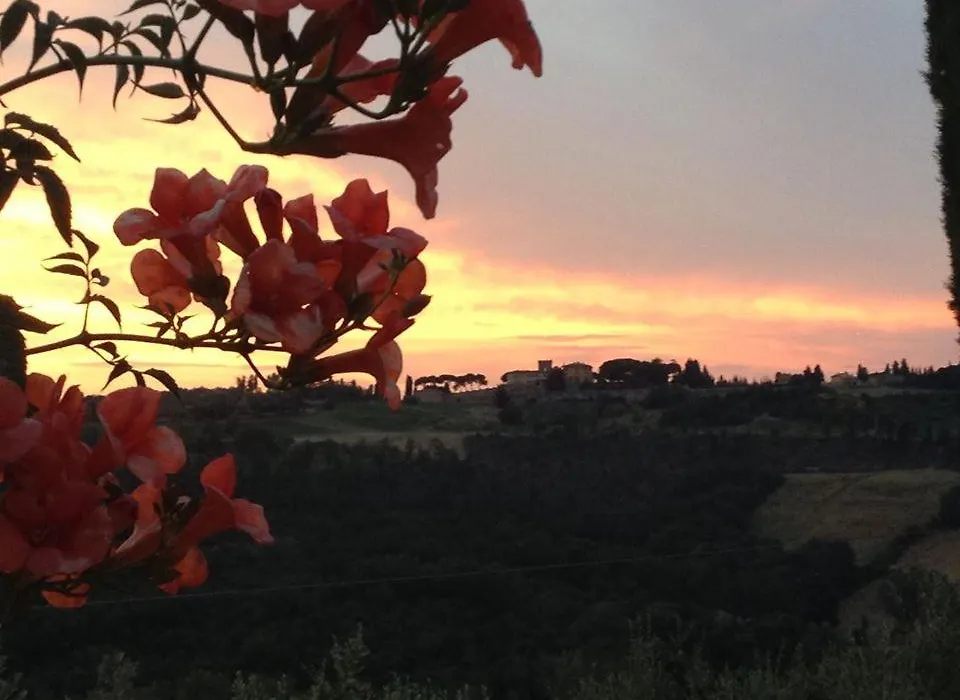 Il Glicine 3-1