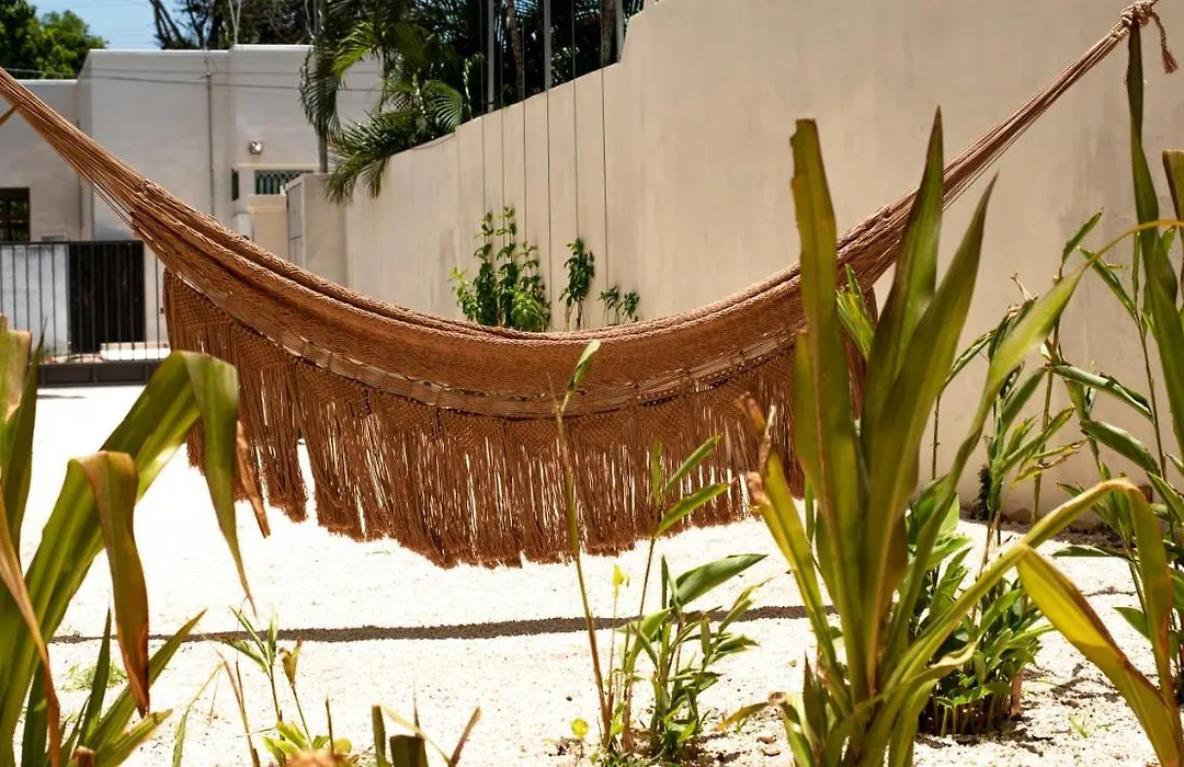 Casa Tamarindo - Design Stay Boutique-1
