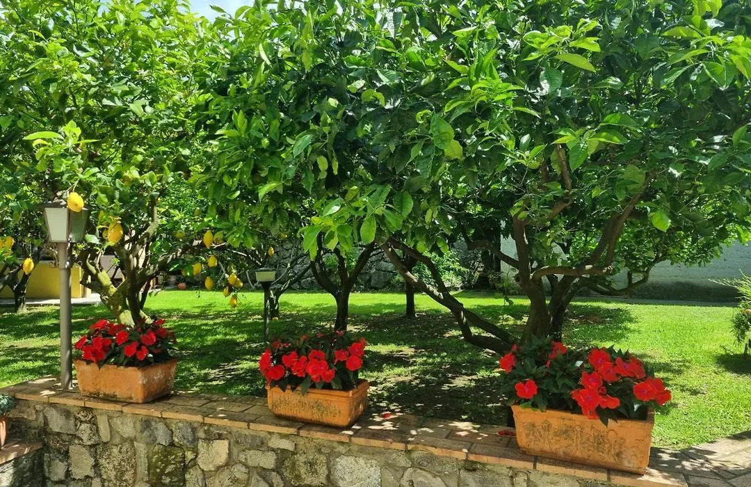 Il Ruscello-1