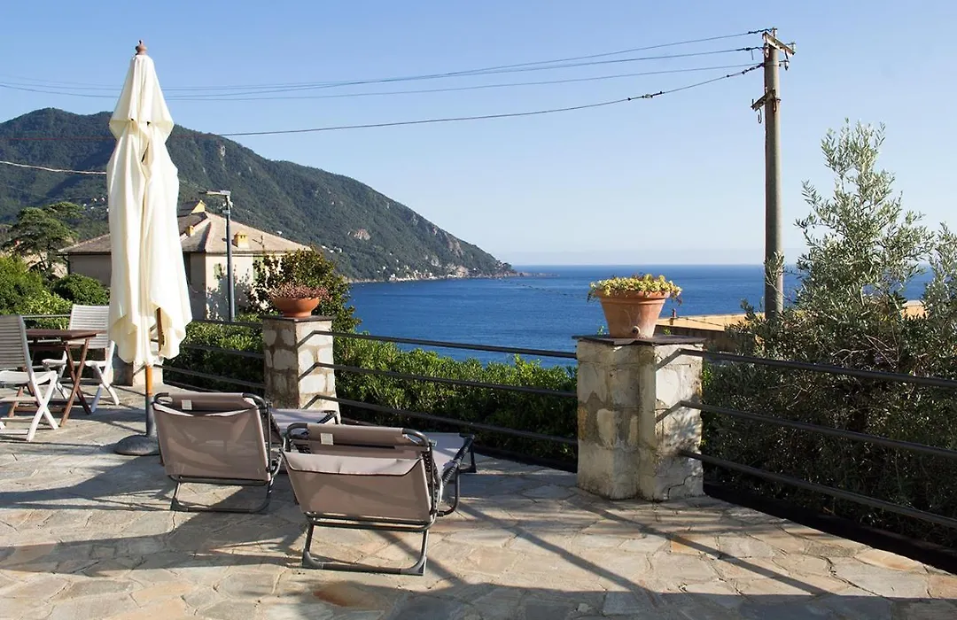 La Conchiglia Bed & Breakfast-1