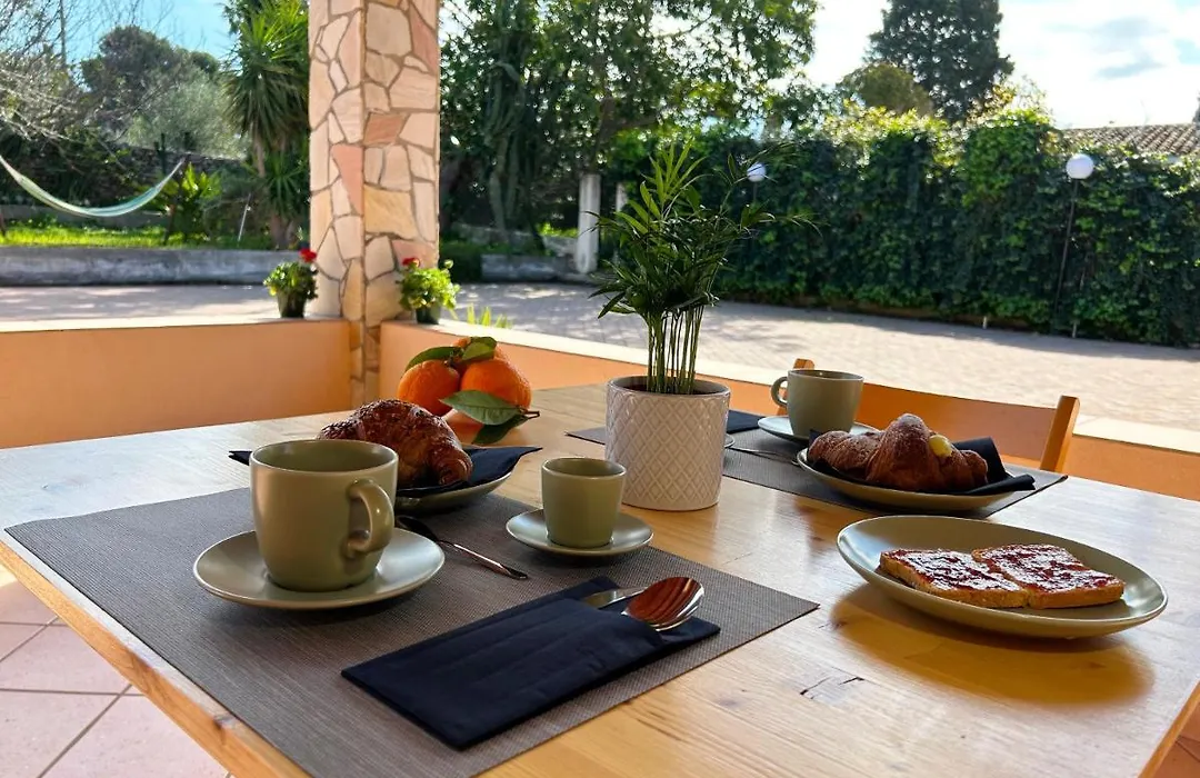 B&B Radice-1
