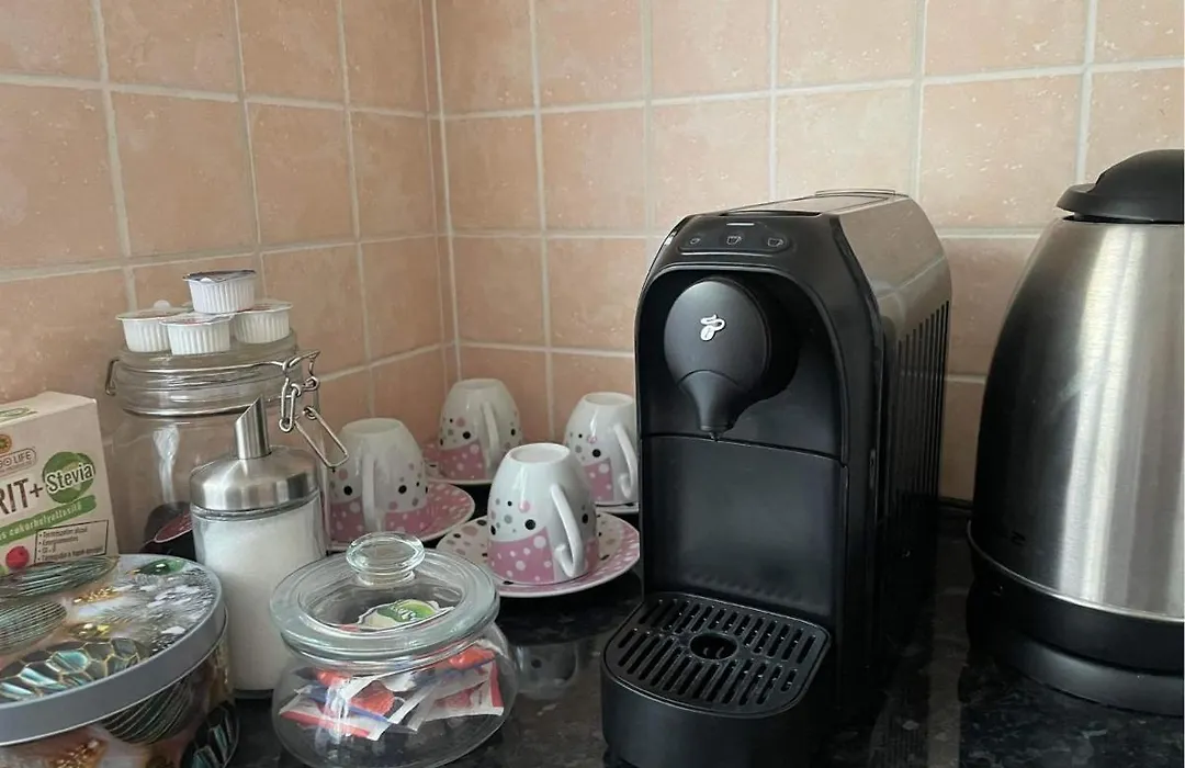 Dizike Pet-Friendly Guesthouse - Private Apartmant-1