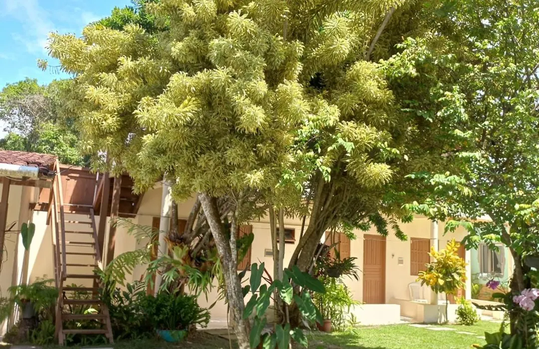 Pousada Cajueiro-1