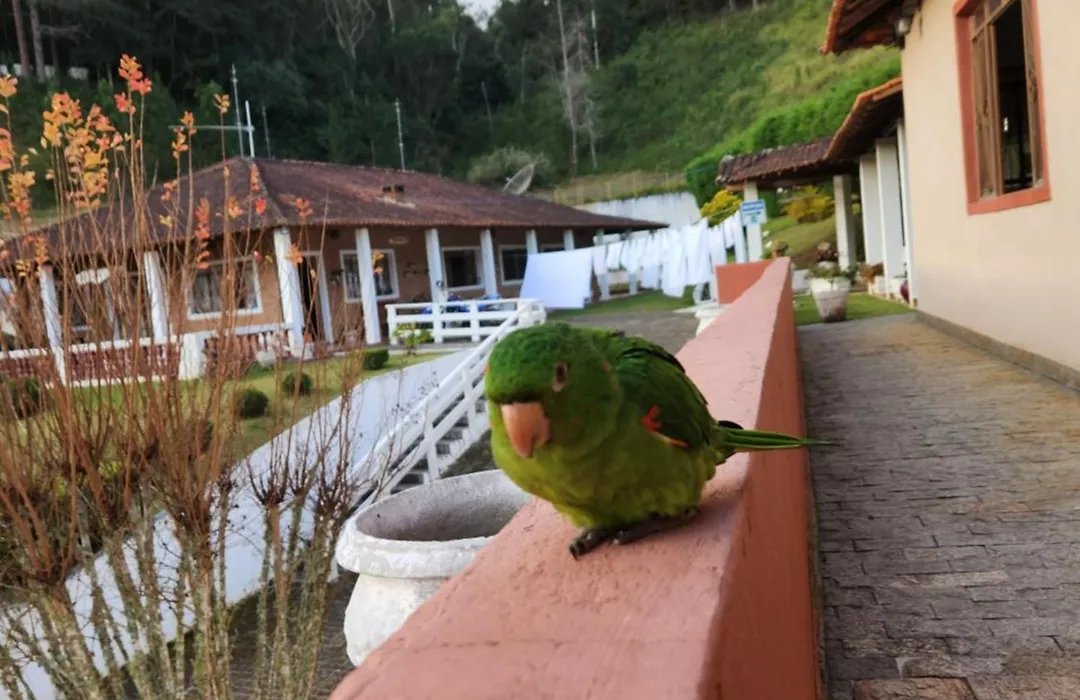 Pousada Pedacinho do Ceu suite Giulia 4-1
