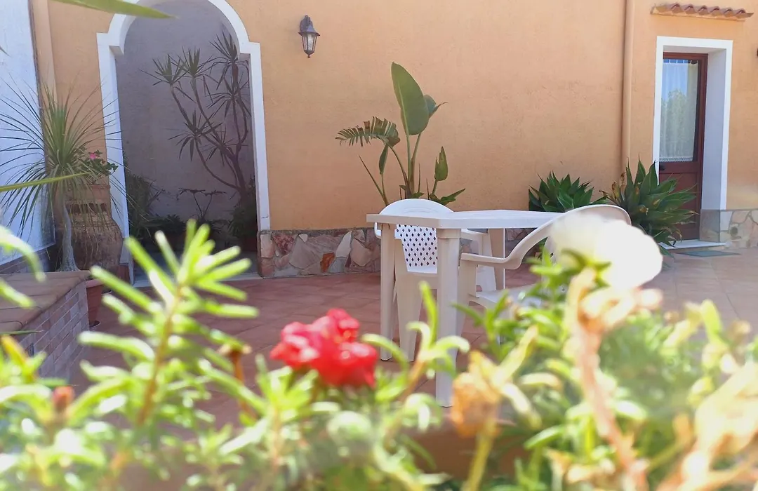 La Mimosa di Erice-1
