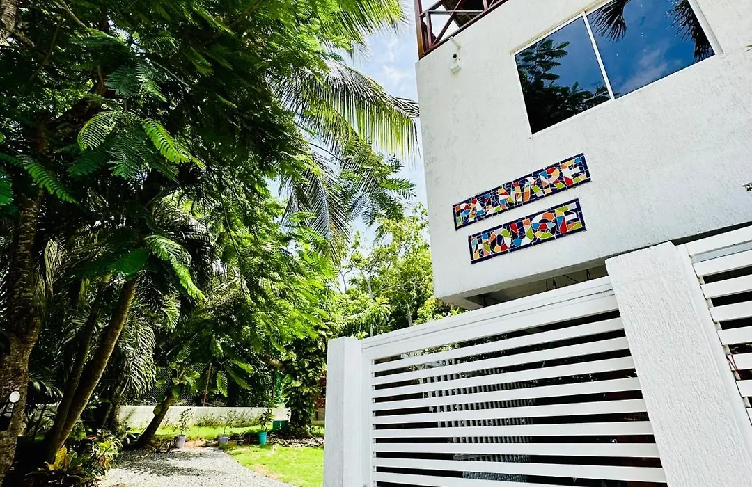 Palmare House-1