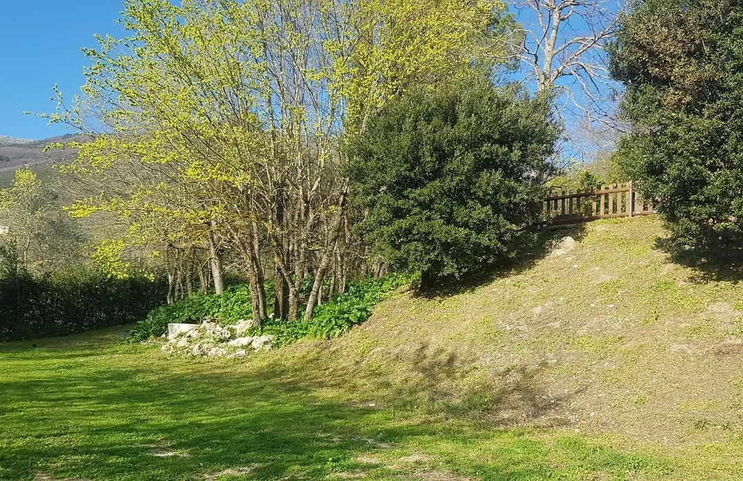 Domus Antiqua Bed & Breakfast-1