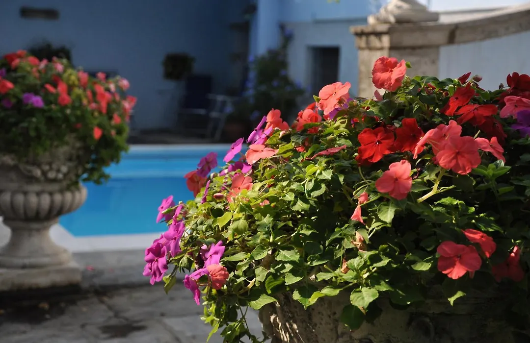 Villa Annamaria B&B-1