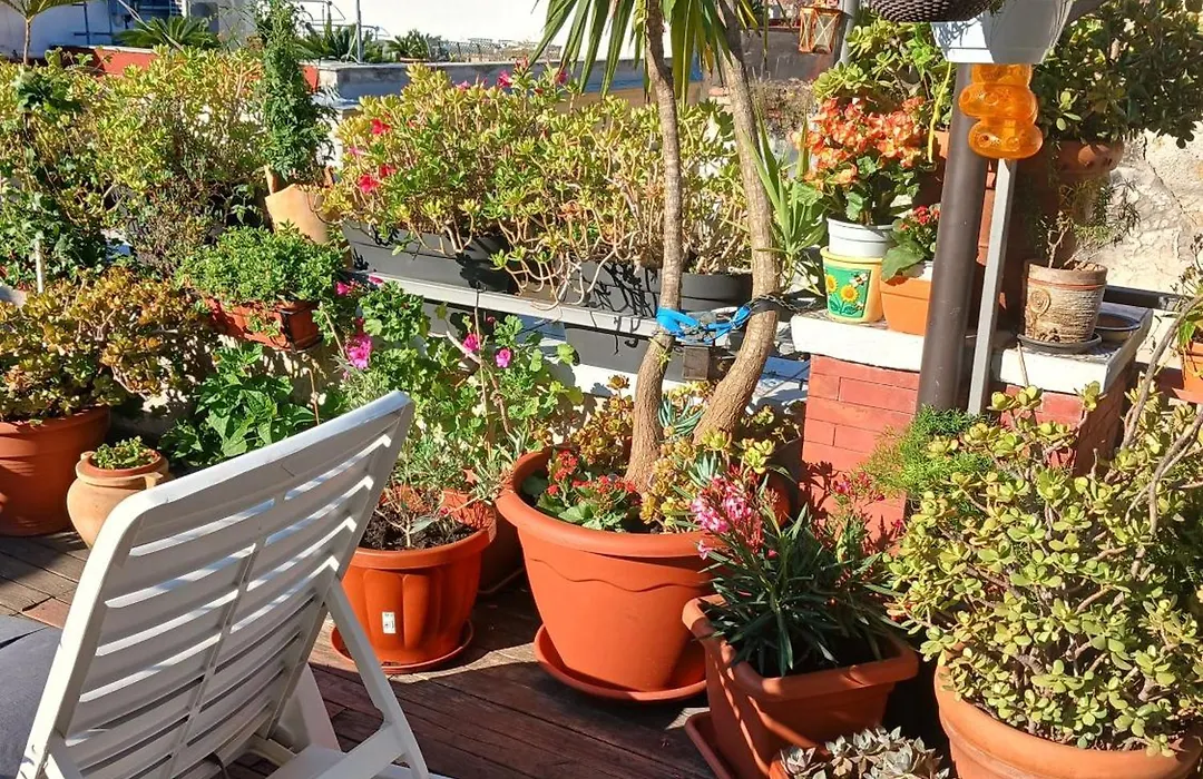 La Terrazza Ai Miracoli-1