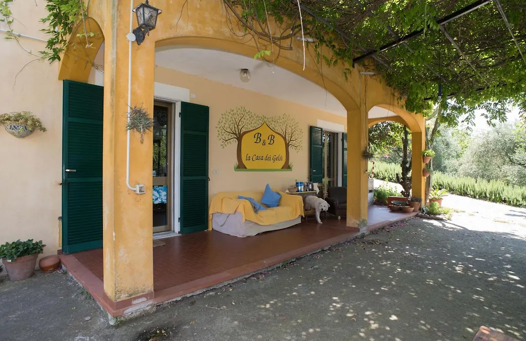 B&B La casa dei gelsi-1