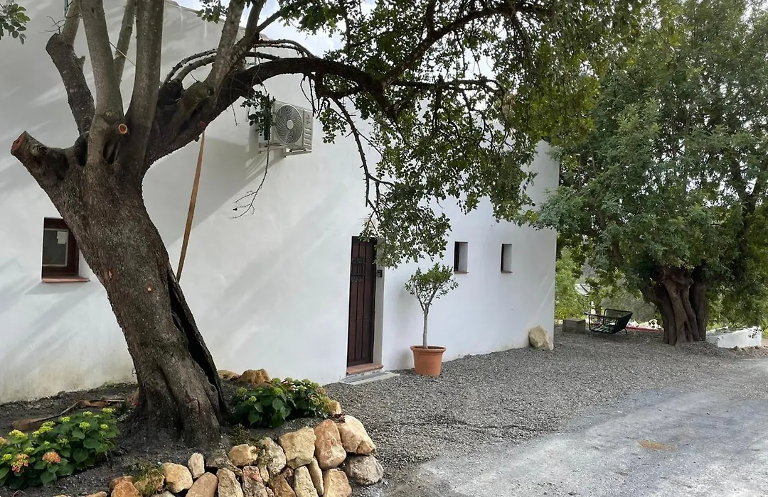 Finca Valle Verde-1