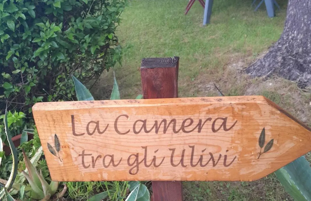 La Camera Tra Gli Ulivi Dream Finale-1