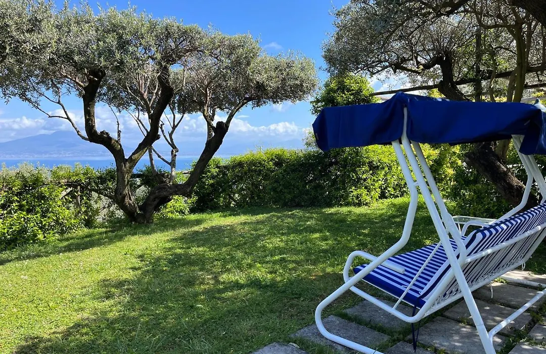 Sorrento Olive Tree Garden-1