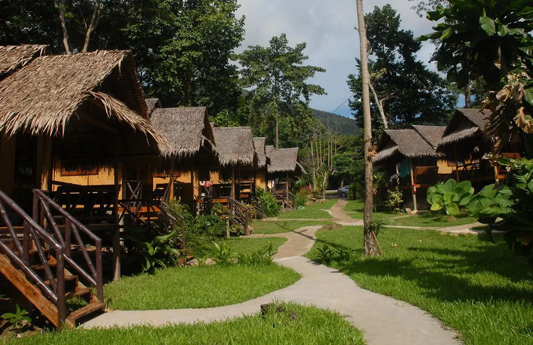 Jungle Garden-1