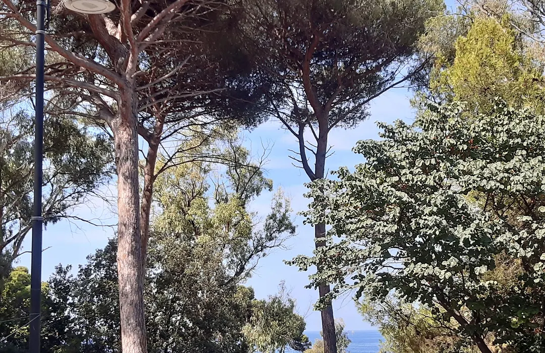 B&B Posidonia-1