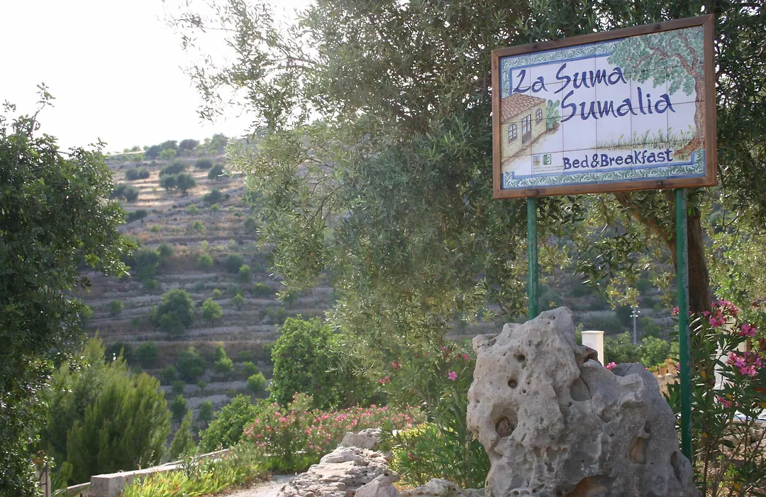 La Suma Sumalia-1