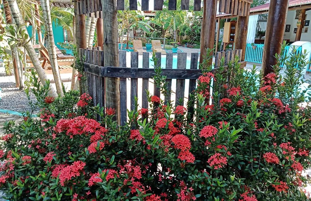 Hawaii Flats-1