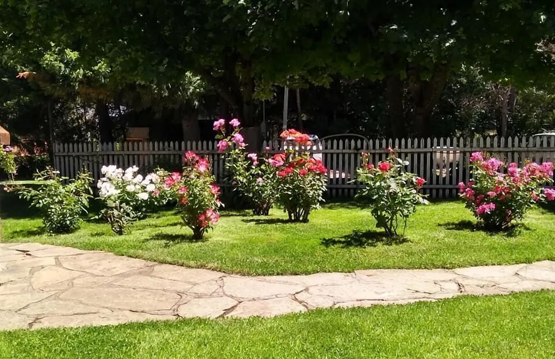 Posada de la Flor-1
