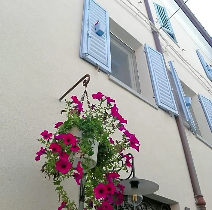 Tambien B&B-1