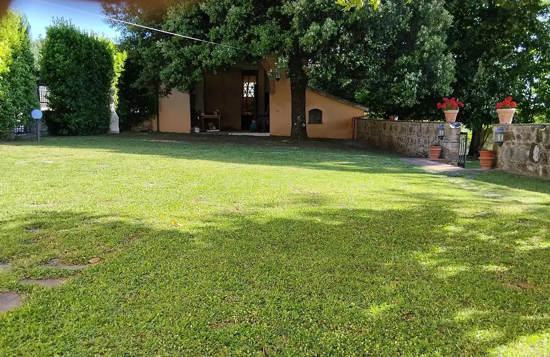 Mancino-1