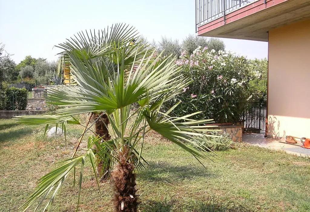 B&B Agli Ulivi-1