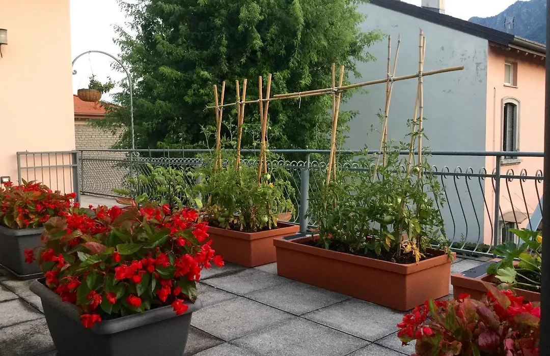 B&B Pescarenico-1