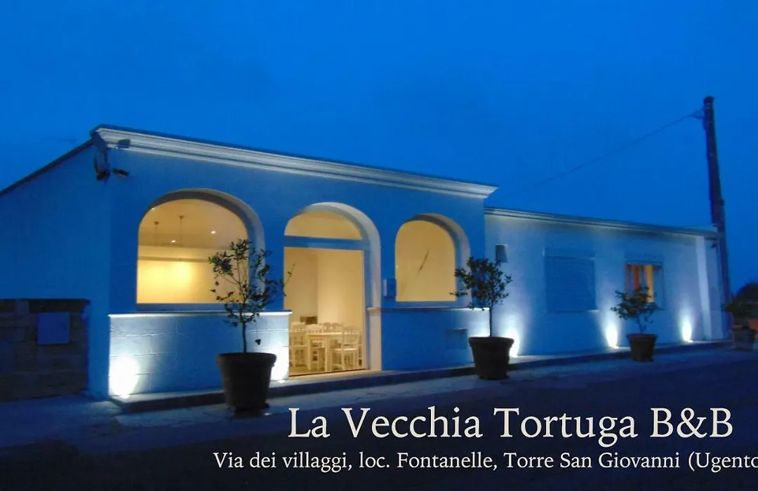 La Vecchia Tortuga-1