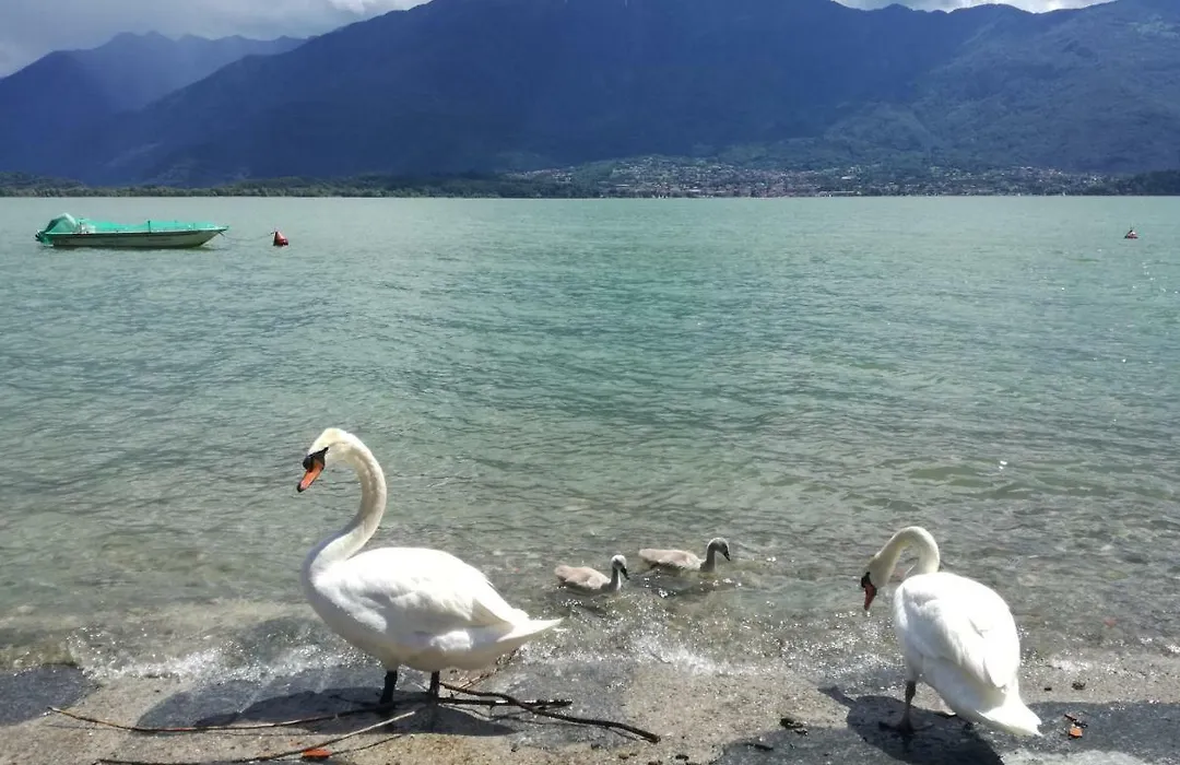 Grazia Al Lago B&B-1