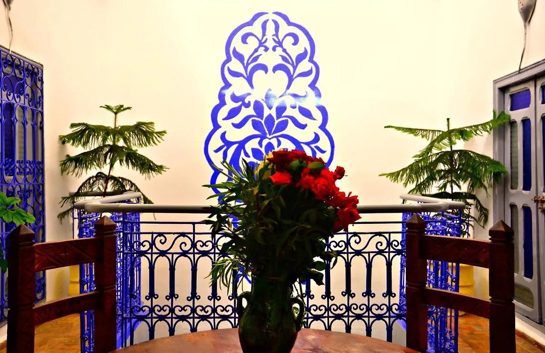 Riad Wink-1