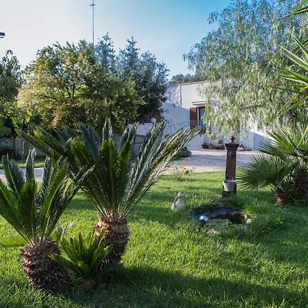 fiori e massi-2