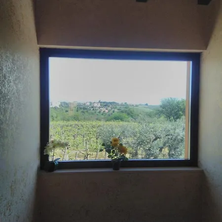 La casetta-2