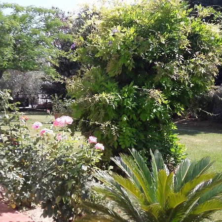 Villa Fabbri-2