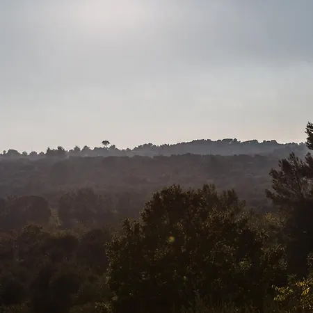 Si Fa Trullo-3