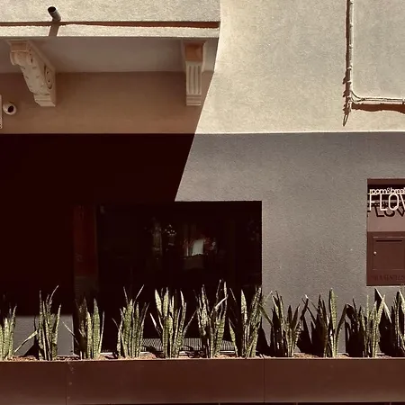 Flow B&B-2