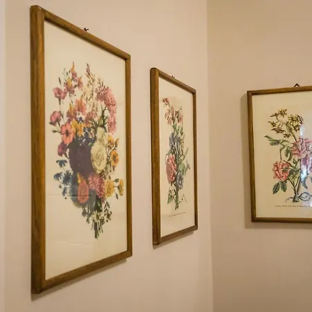 Hortensia Garden-3